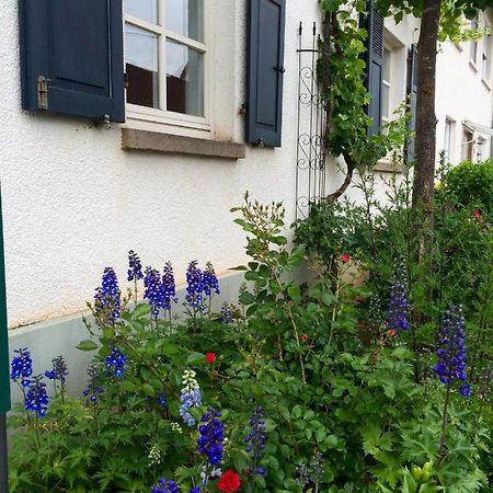 Seelig`S Weinsheim  Eksteriør bilde